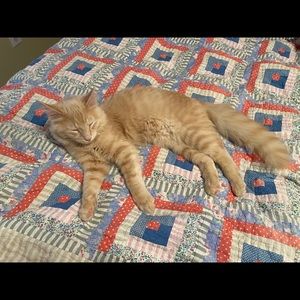 Meet your Posher, Anna cate